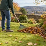 Gardener raking autumn leaves from the edge of a lawn