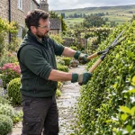 Gardener shaping a dense garden hedge with hand shears.