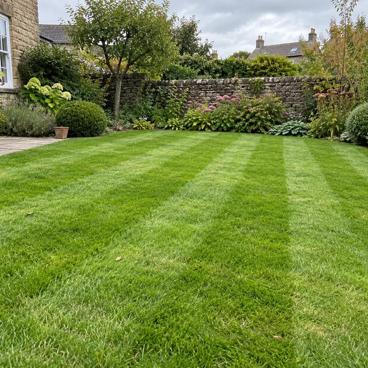 Freshly mown garden lawn with alternating stripes.