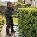 Gardener shaping a hedge with manual shears beside a garden path