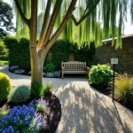 Gravel garden with ornamental grasses, a leafy tree, a wooden bench and planted borders.
